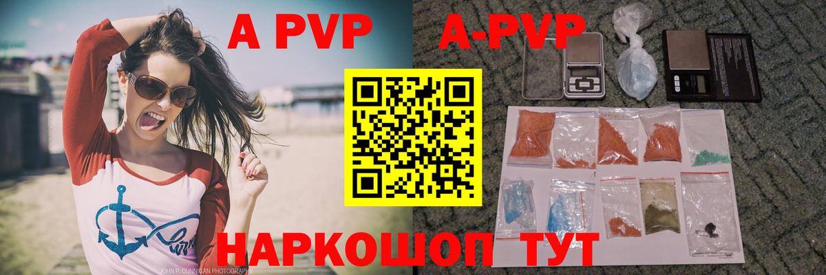 Alfa_PVP СК Гудермес