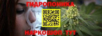 гидра Бийск