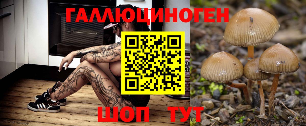 Галлюциногенные грибы прущие грибы  Вход с VPN  Гудермес 